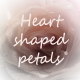 Heart Shaped Petals